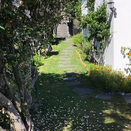 Casa Tintinnio By Interhome Appartement