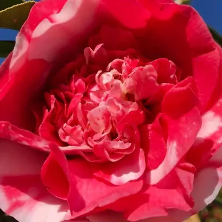 Casa Tintinnio By Interhome Brione (Verzasca)