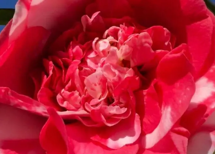 Casa Tintinnio By Interhome Brione (Verzasca)