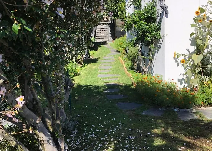 Casa Tintinnio By Interhome Διαμέρισμα